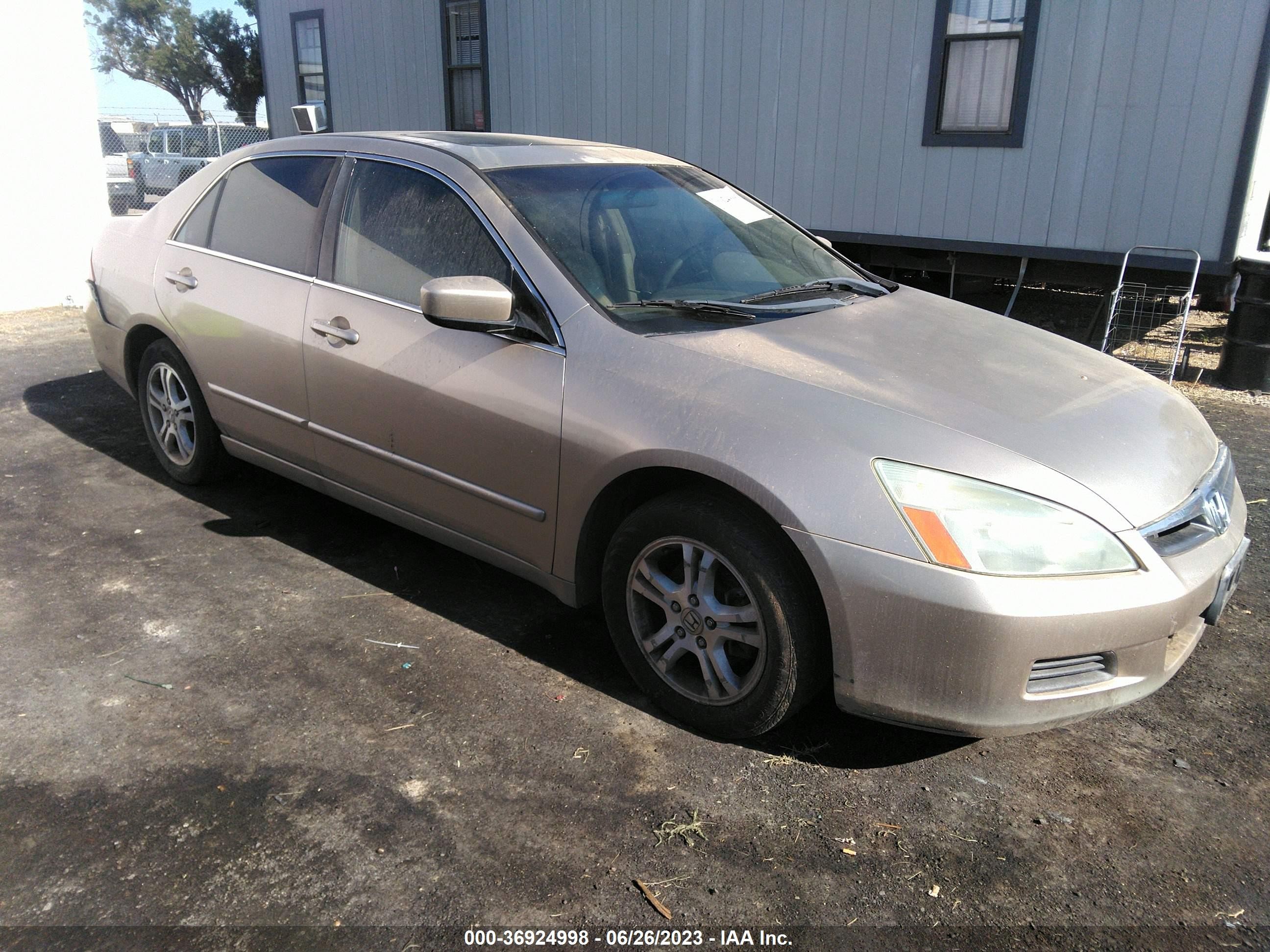 HONDA ACCORD 2006 1hgcm56886a169134