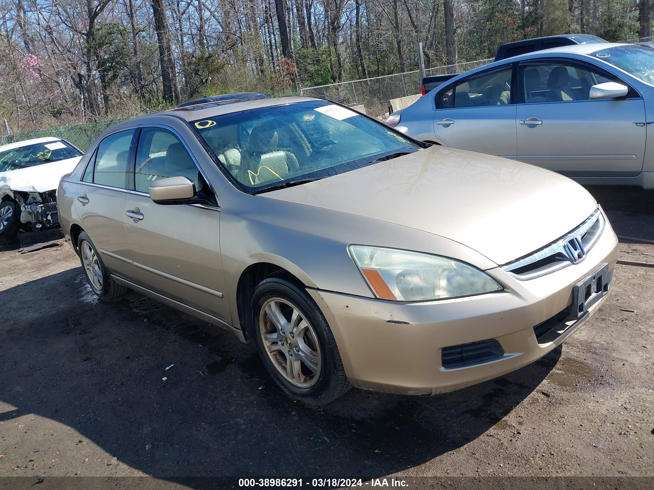 HONDA ACCORD 2006 1hgcm56896a053781