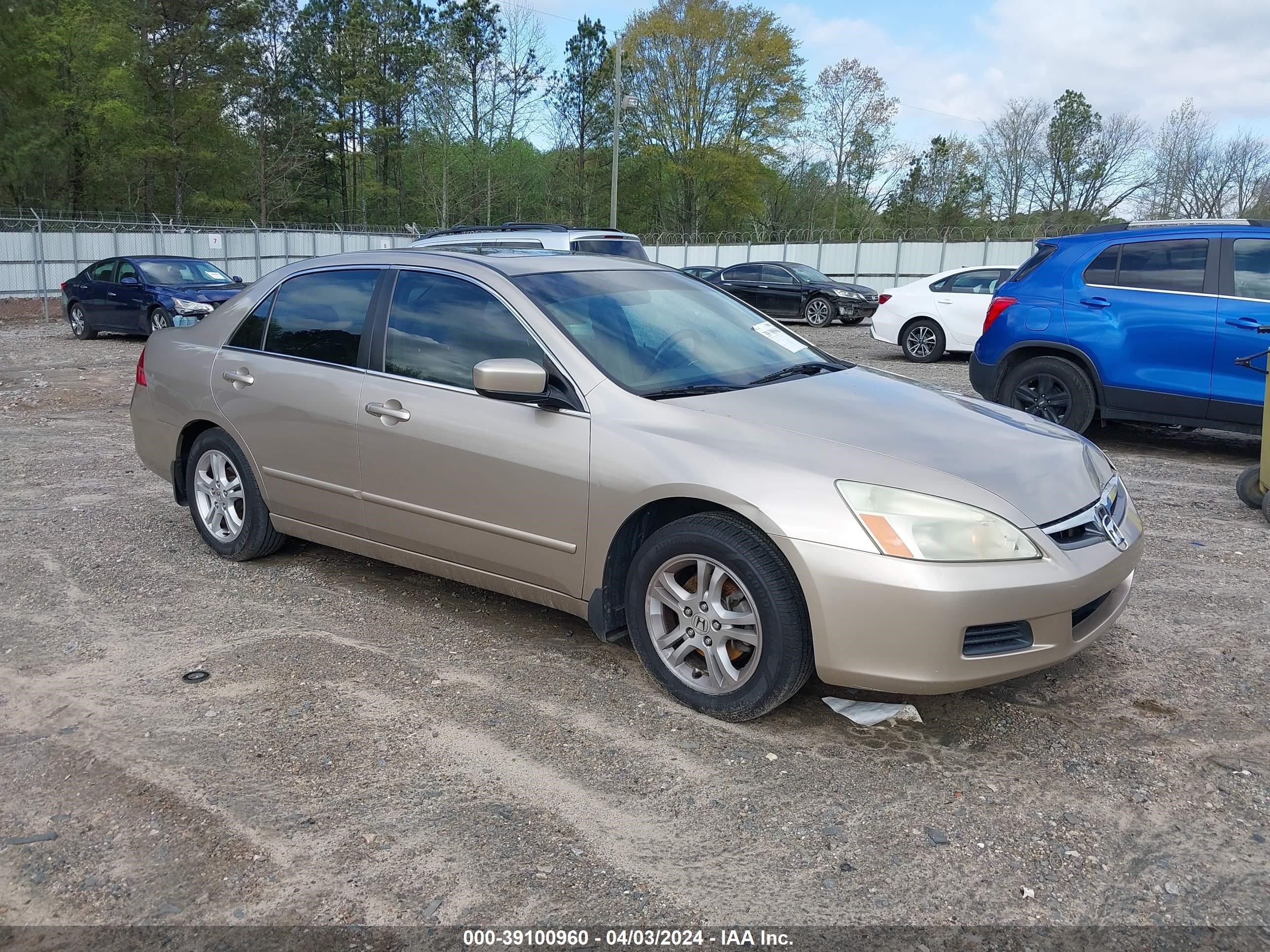 HONDA ACCORD 2006 1hgcm56896a065588