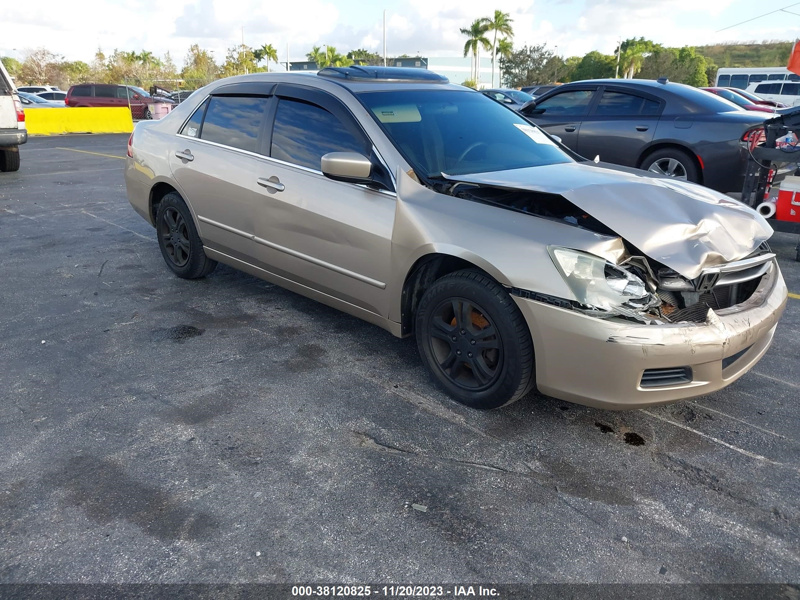 HONDA ACCORD 2006 1hgcm56896a065610