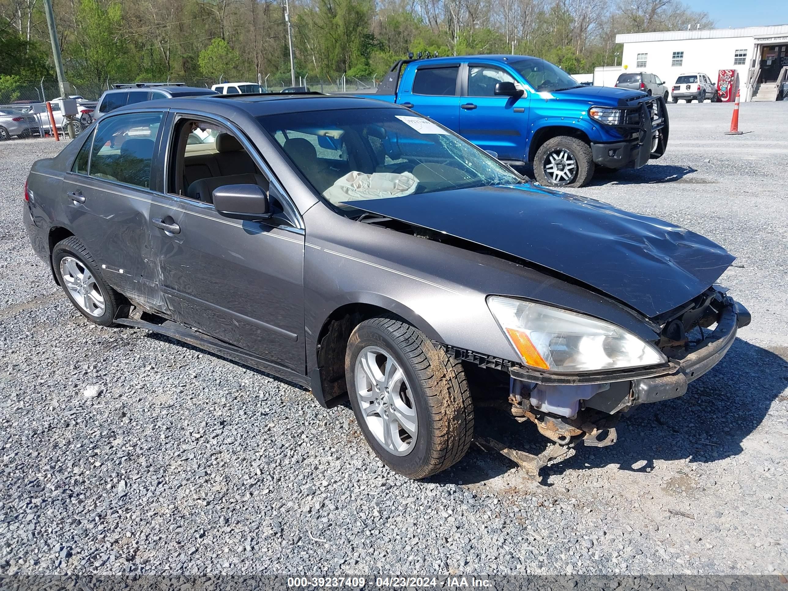 HONDA ACCORD 2006 1hgcm56896a123750