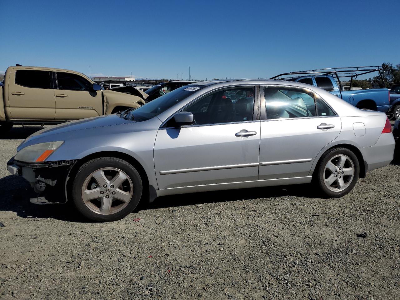 HONDA ACCORD 2006 1hgcm65586a039075