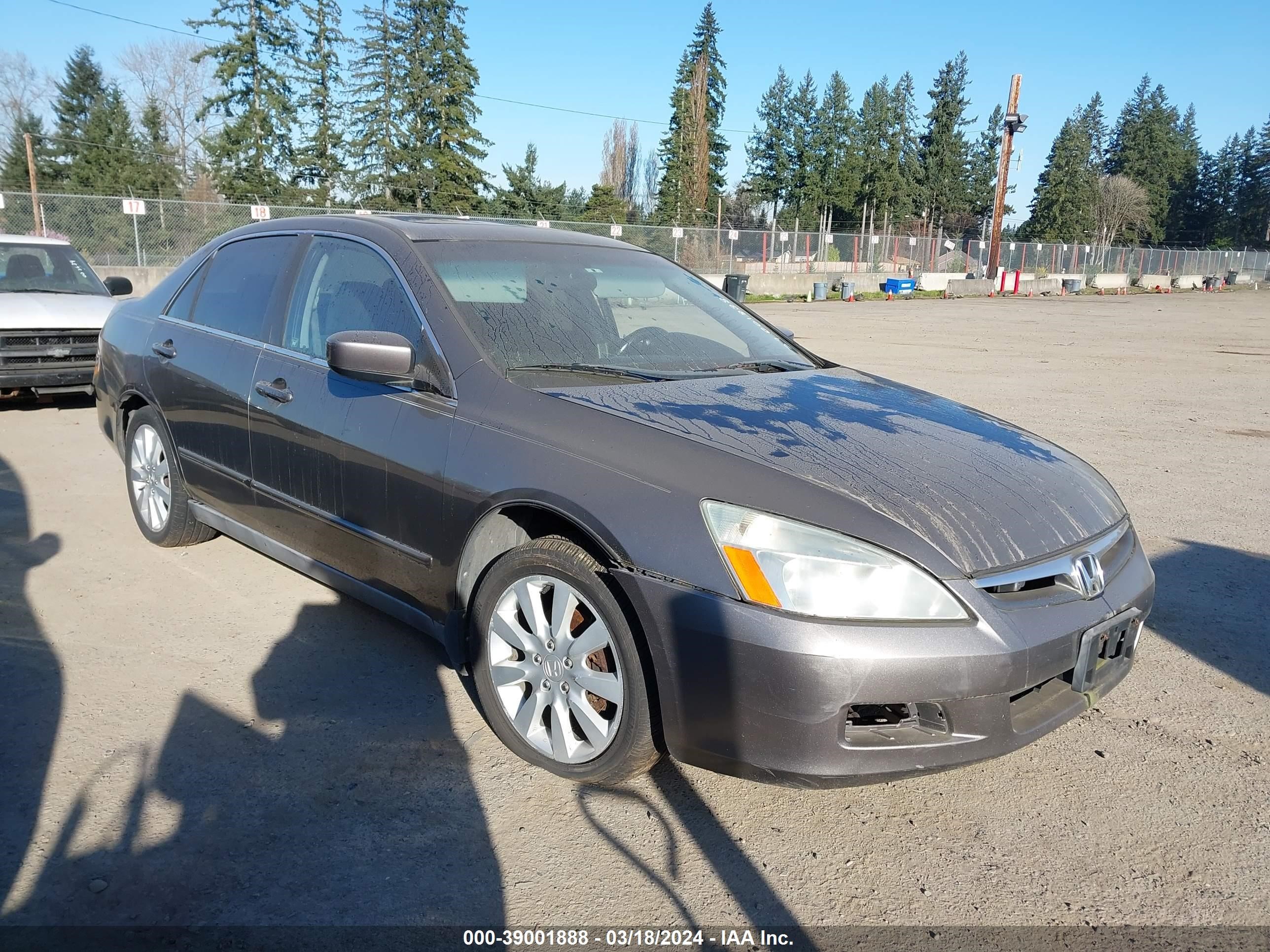 HONDA ACCORD 2006 1hgcm66306a800338