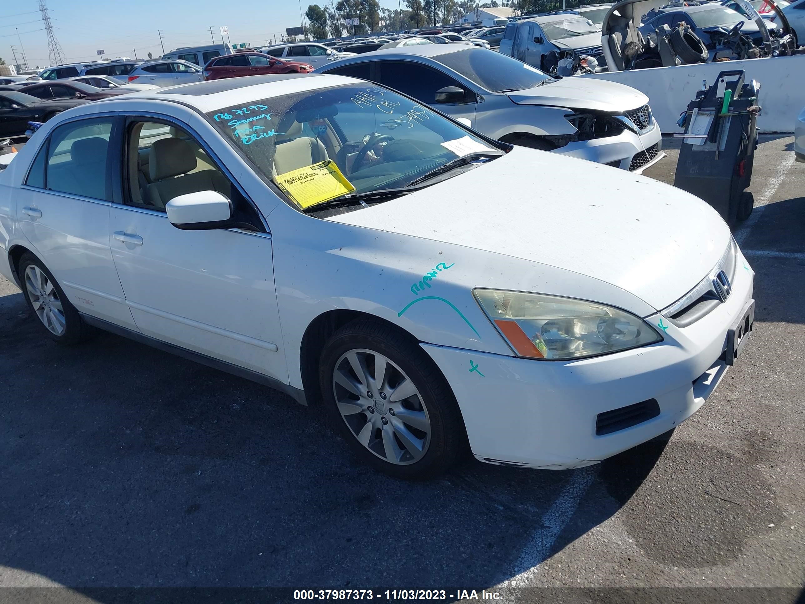 HONDA ACCORD 2006 1hgcm66316a022549