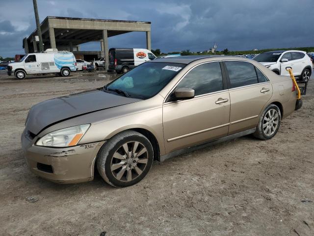 HONDA ACCORD 2006 1hgcm66316a024785