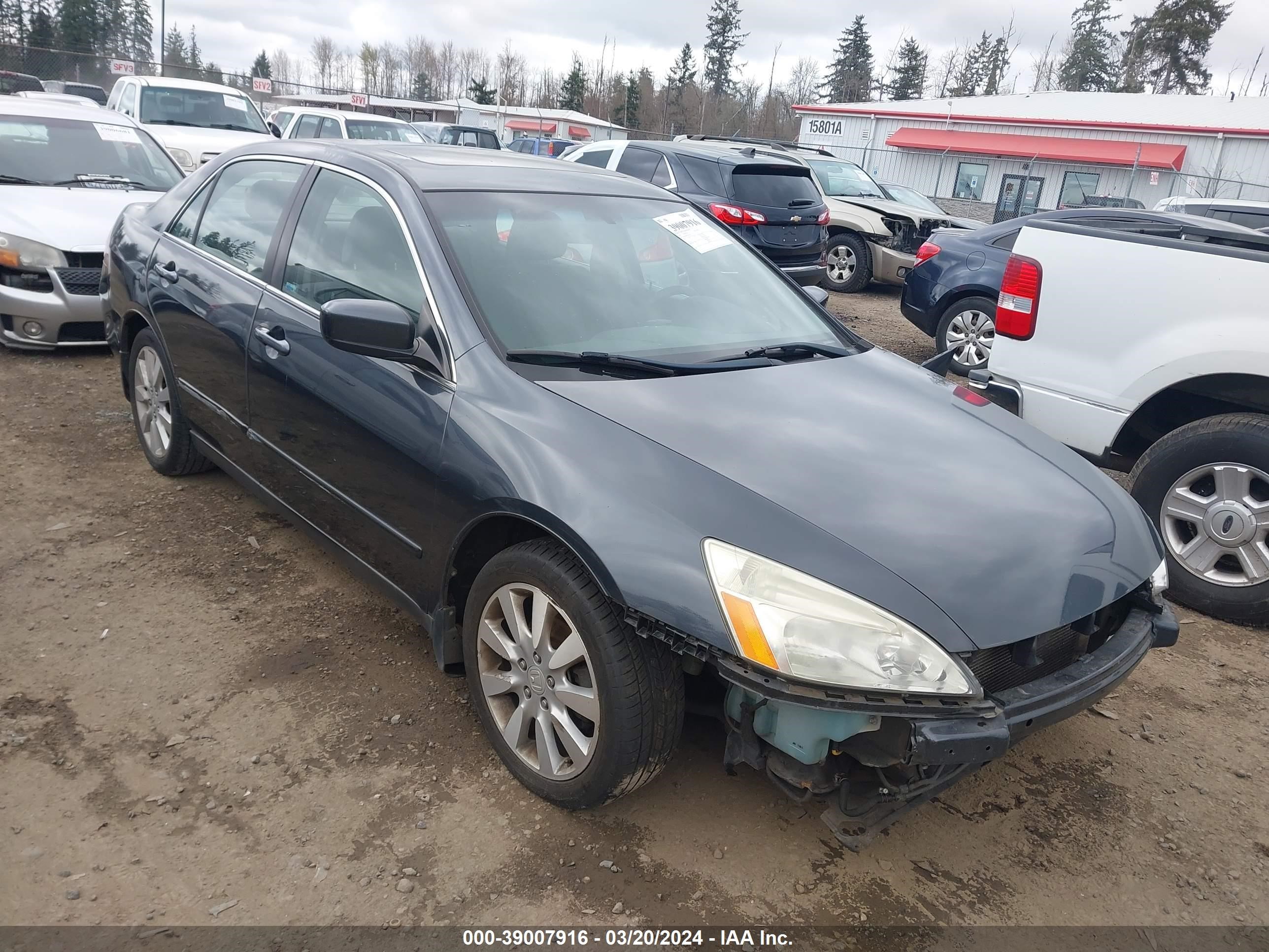 HONDA ACCORD 2006 1hgcm66316a032000