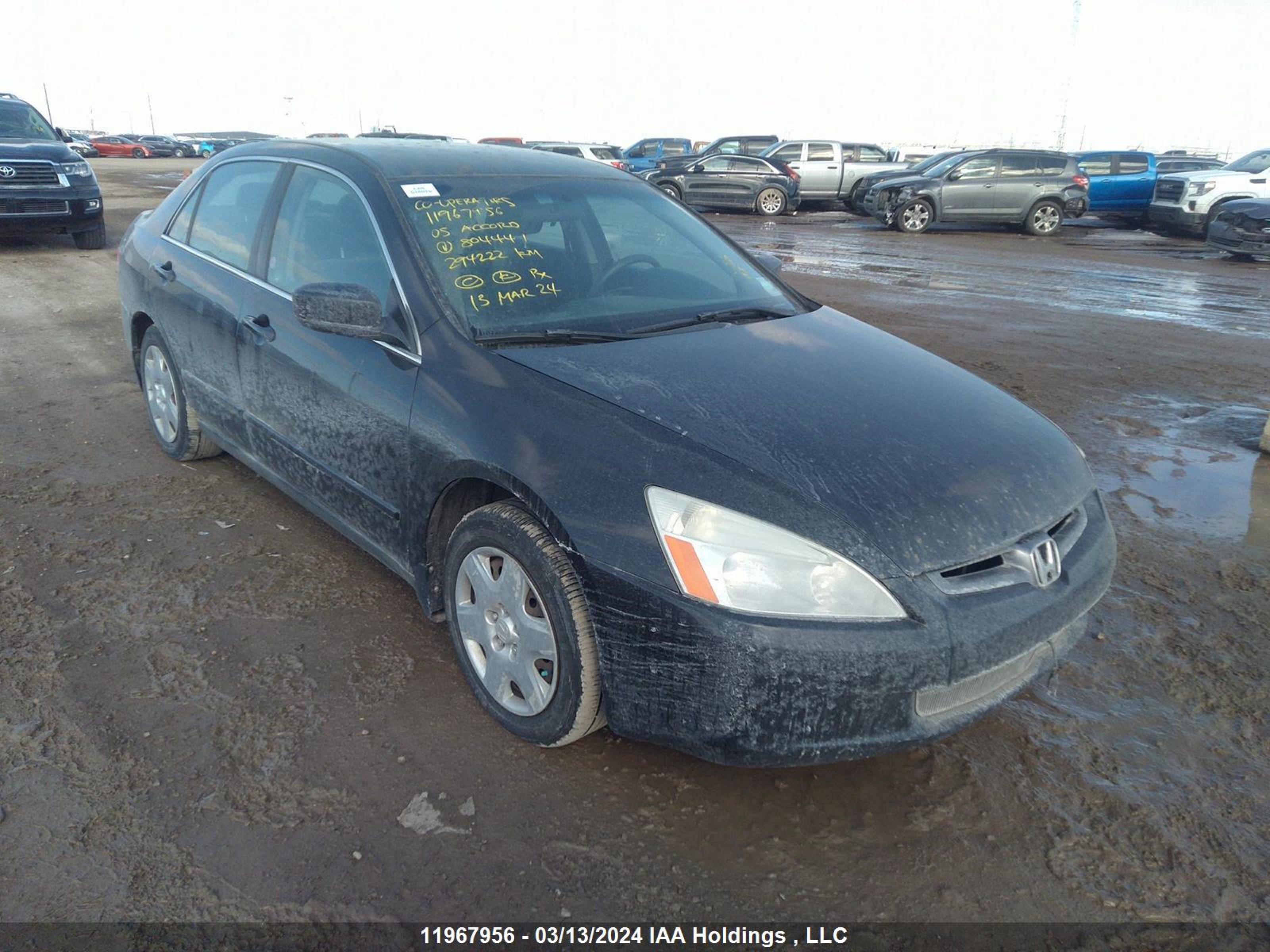 HONDA ACCORD 2005 1hgcm66345a804441