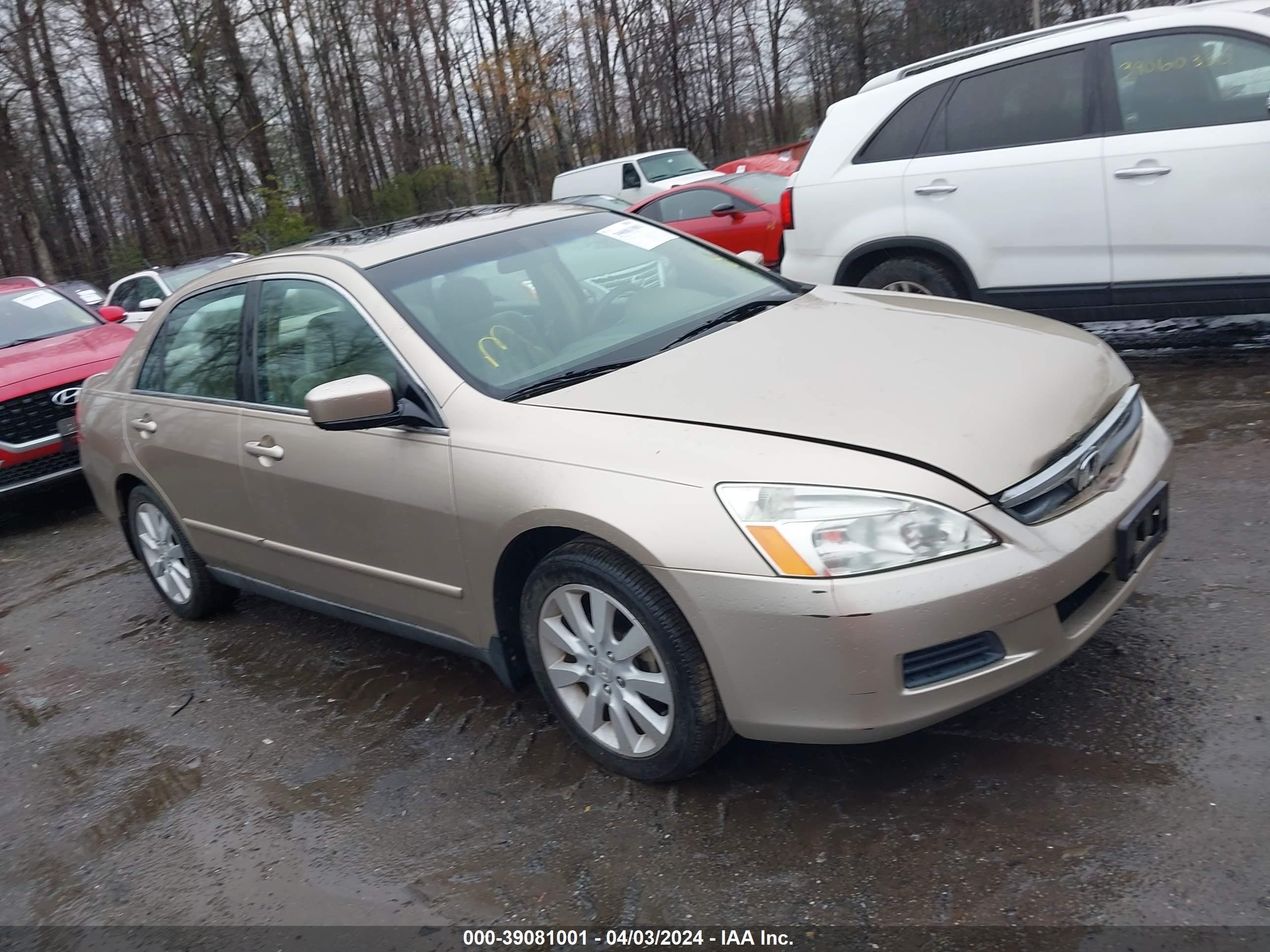 HONDA ACCORD 2006 1hgcm66346a062222