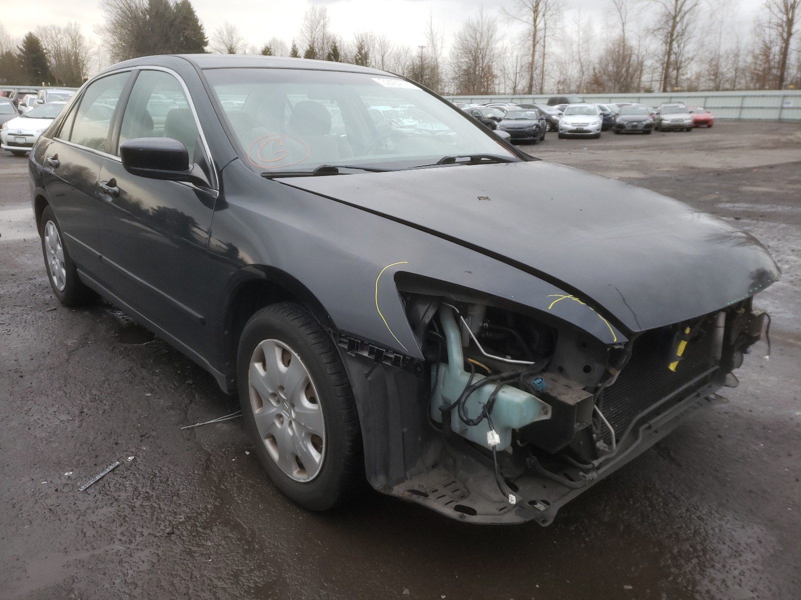 HONDA ACCORD LX 2004 1hgcm66384a024960