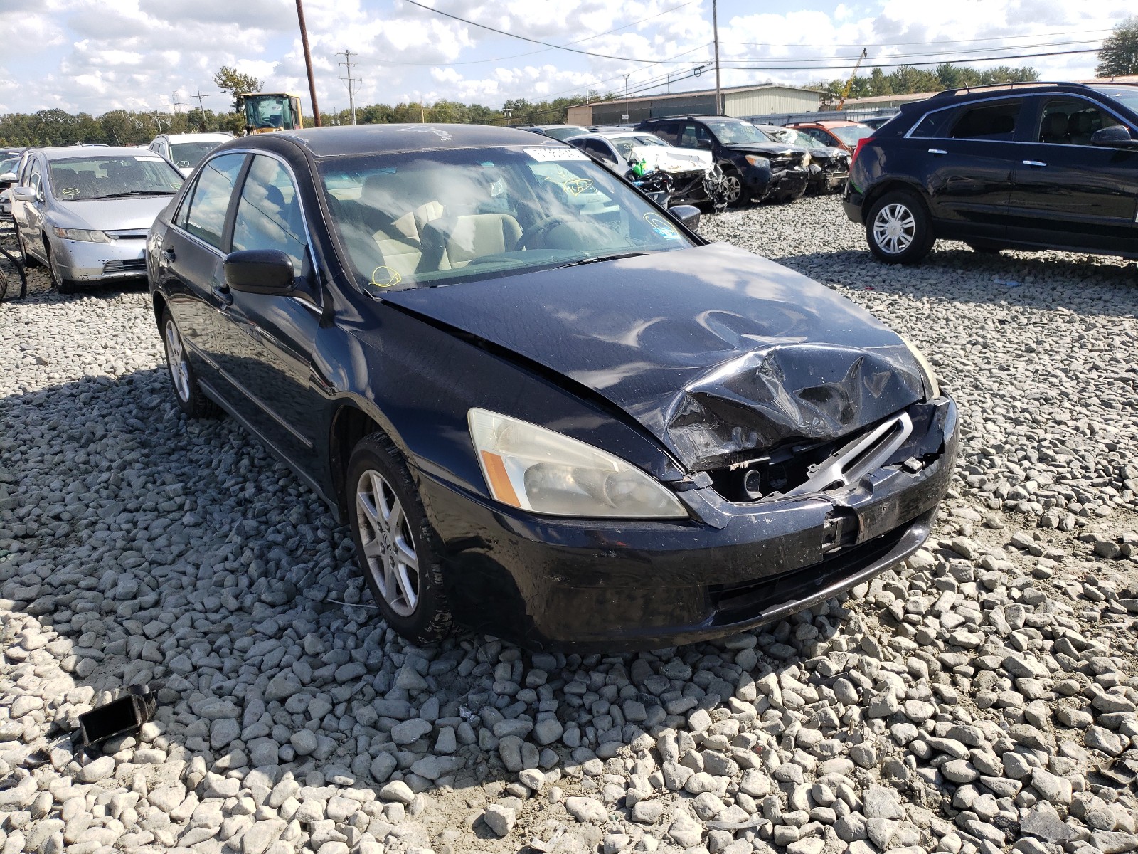 HONDA ACCORD LX 2004 1hgcm66384a065959