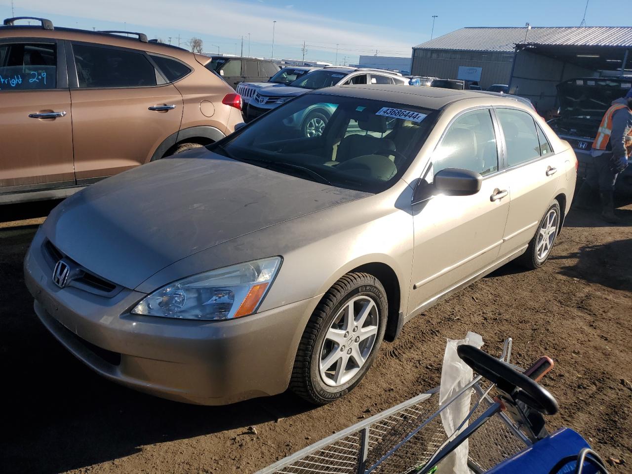 HONDA ACCORD 2004 1hgcm66504a030849