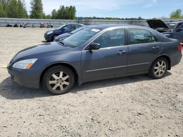 HONDA ACCORD 2005 1hgcm66505a036331