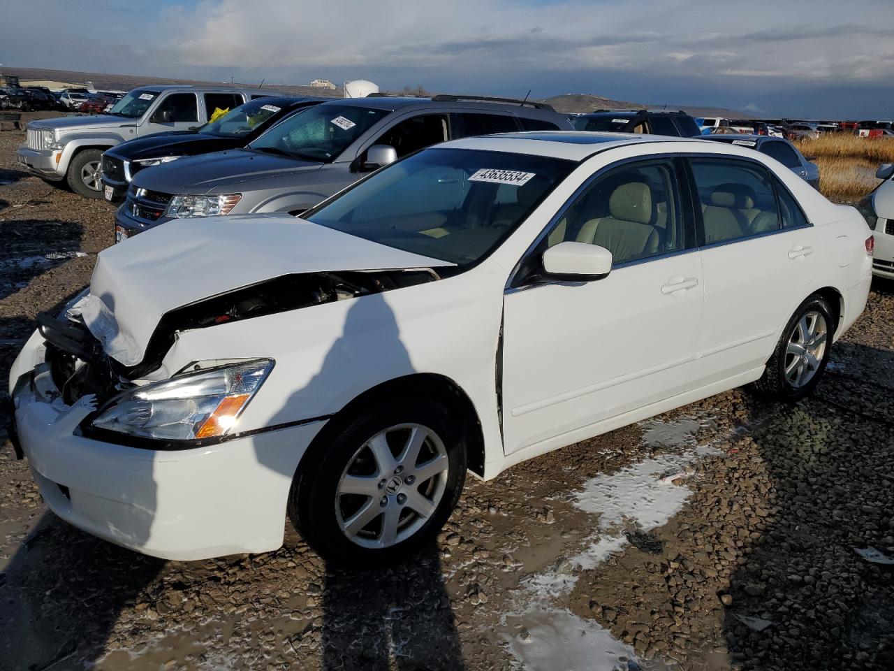 HONDA ACCORD 2005 1hgcm66505a070060