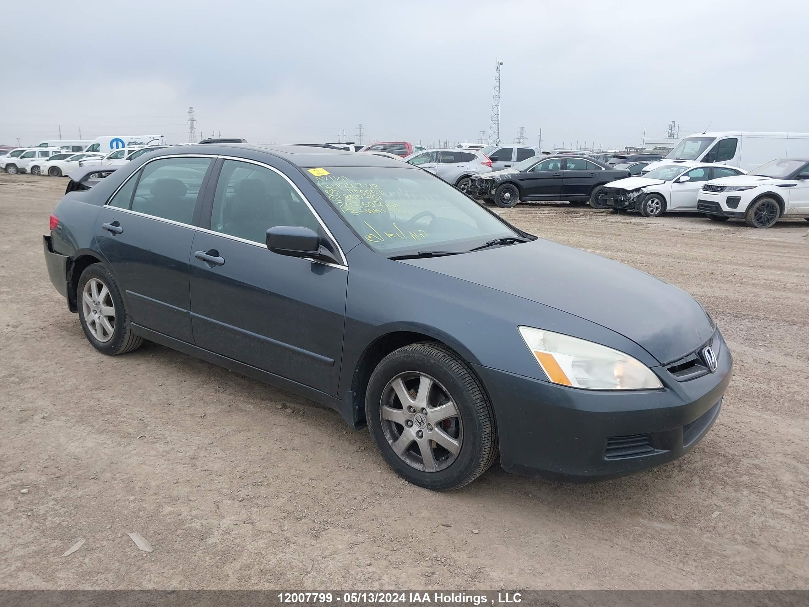 HONDA ACCORD 2005 1hgcm66505a800761