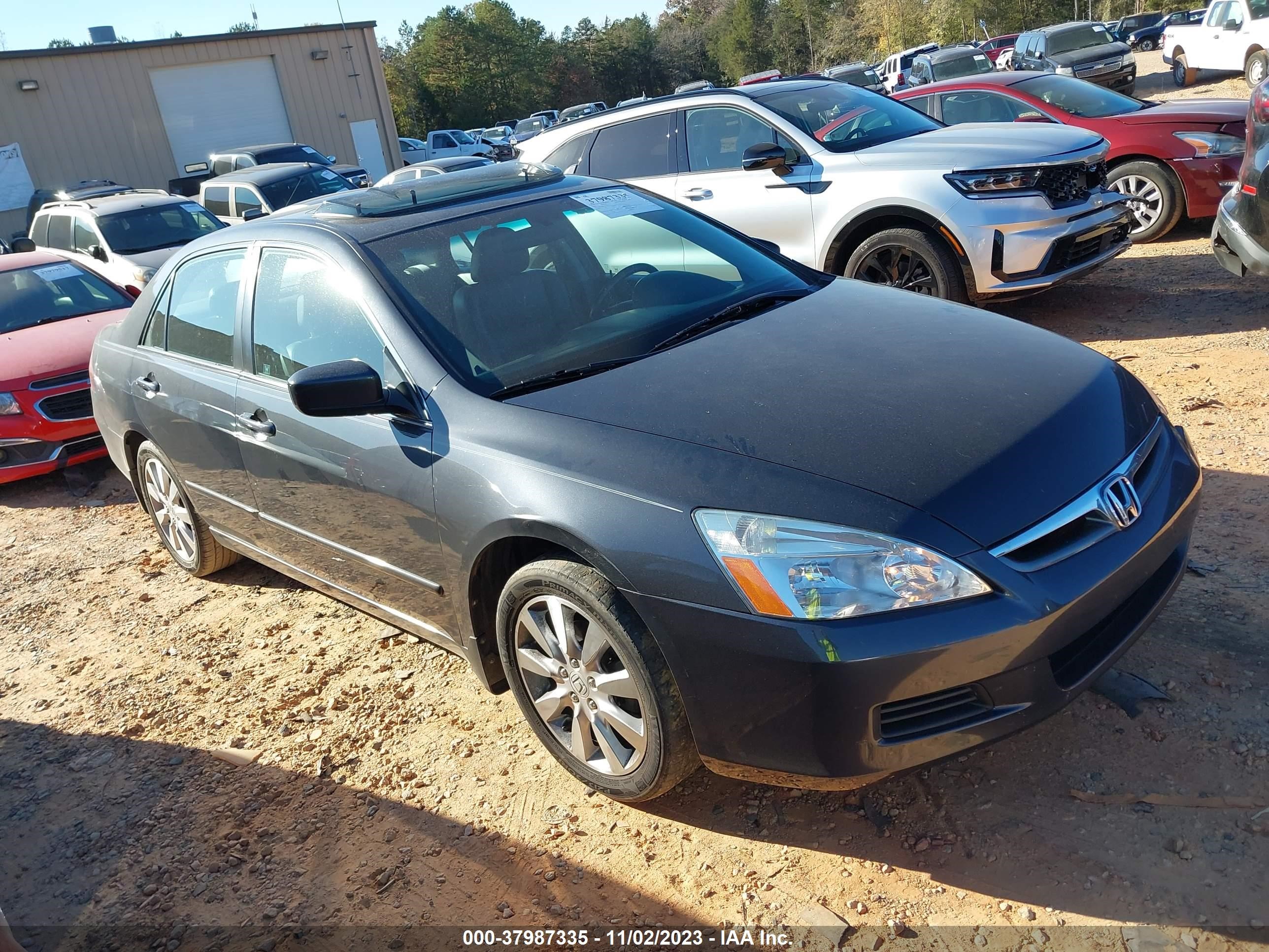 HONDA ACCORD 2006 1hgcm66506a011561