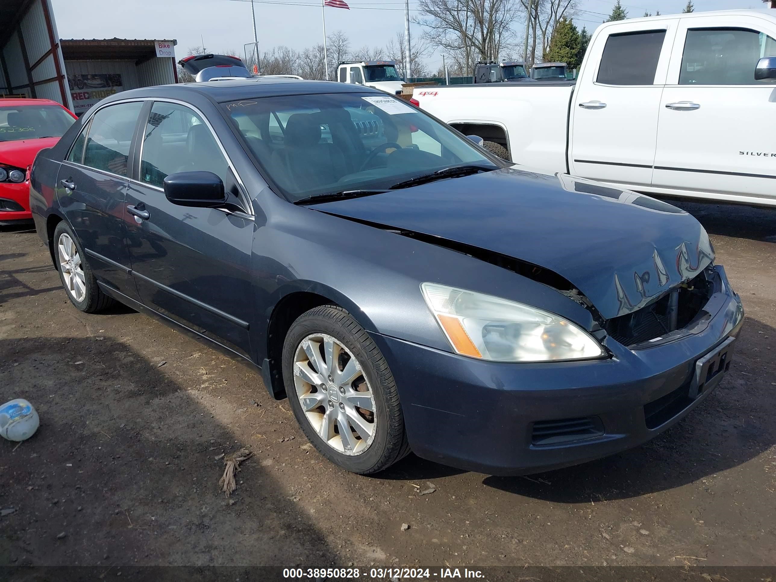 HONDA ACCORD 2006 1hgcm66506a012063