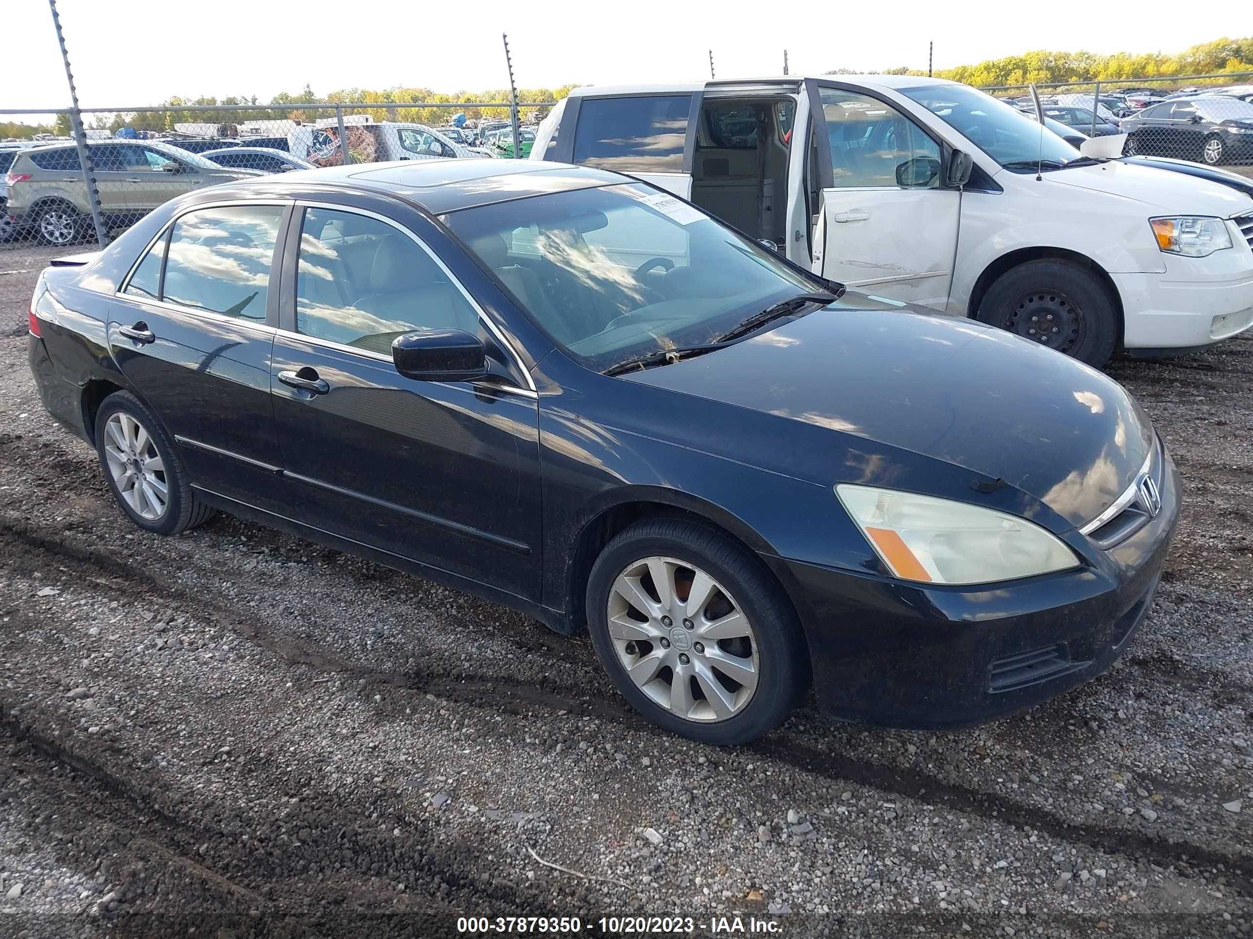 HONDA ACCORD 2006 1hgcm66506a032345