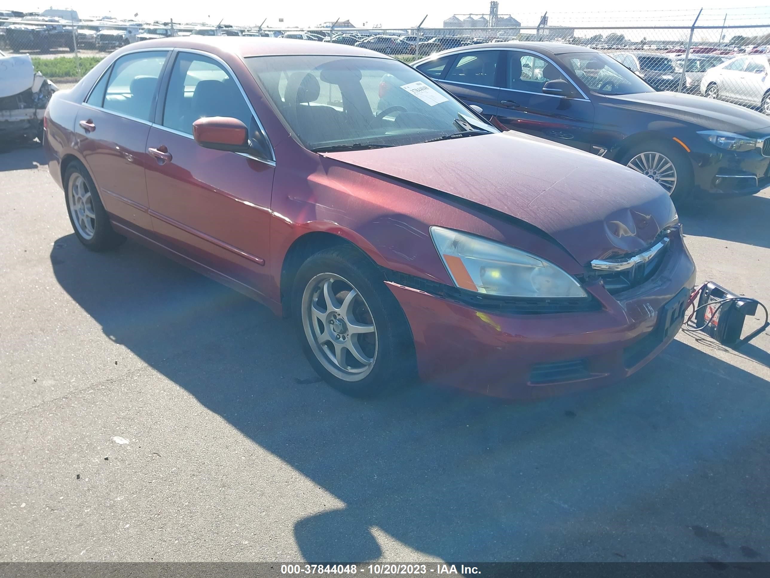 HONDA ACCORD 2006 1hgcm66506a065541