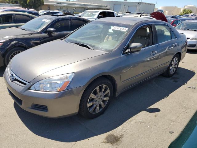 HONDA ACCORD 2007 1hgcm66507a050961