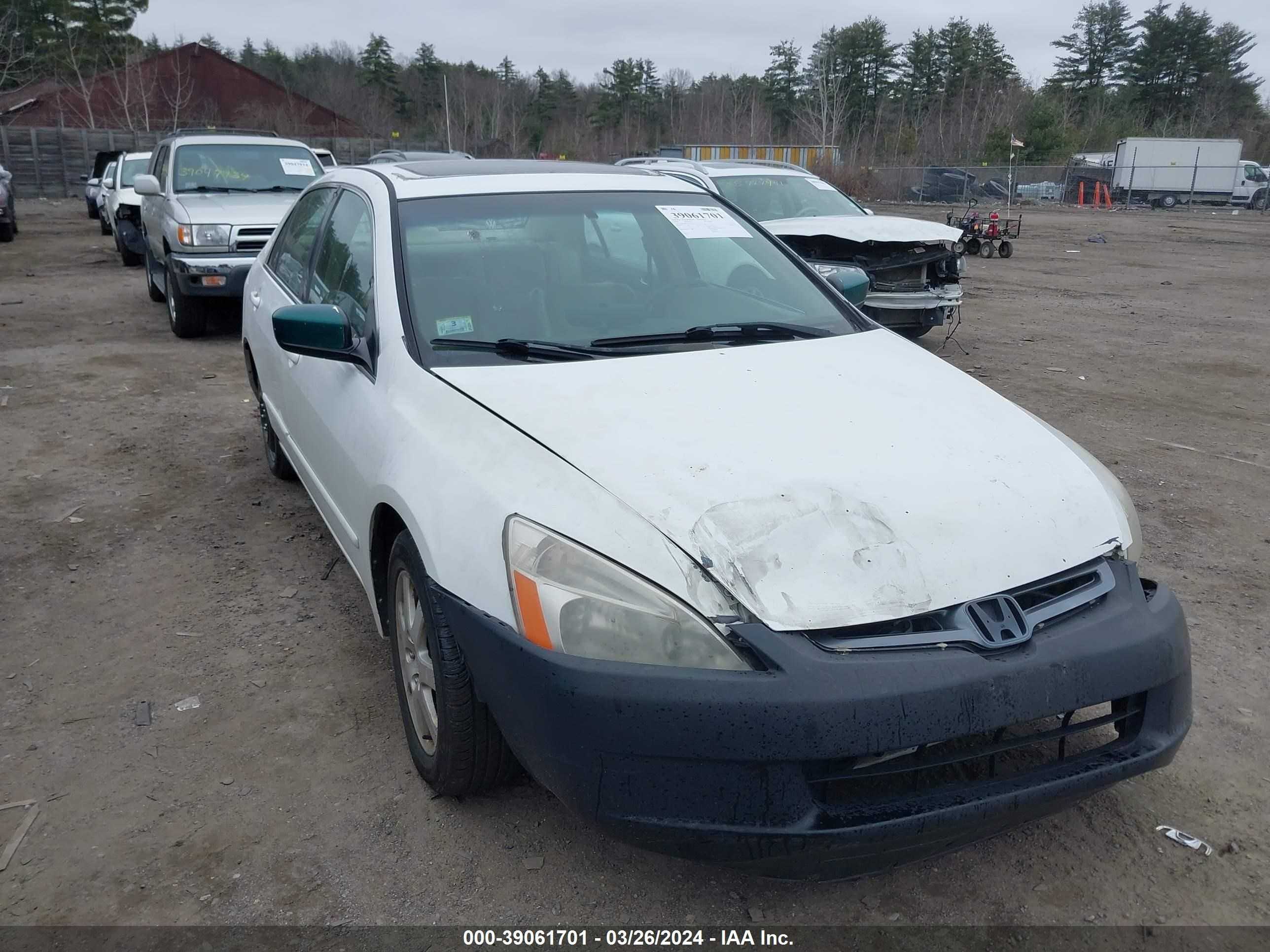 HONDA ACCORD 2005 1hgcm66515a043143