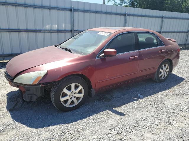 HONDA ACCORD EX 2005 1hgcm66515a067216