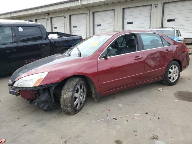 HONDA ACCORD 2005 1hgcm66515a072626