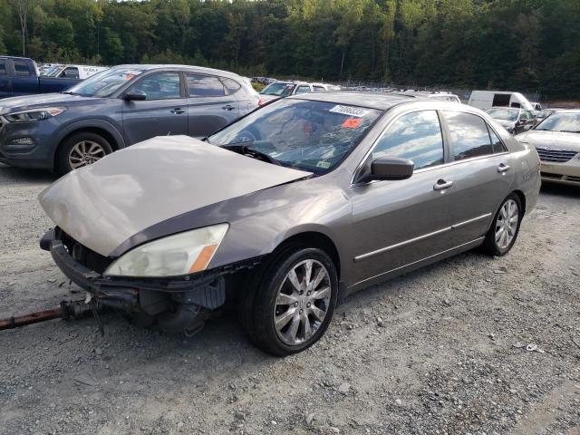 HONDA ACCORD 2006 1hgcm66516a043791