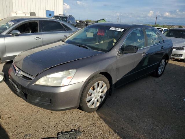 HONDA ACCORD 2006 1hgcm66516a046075