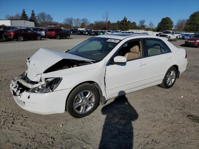 HONDA ACCORD 2006 1hgcm66516a073860