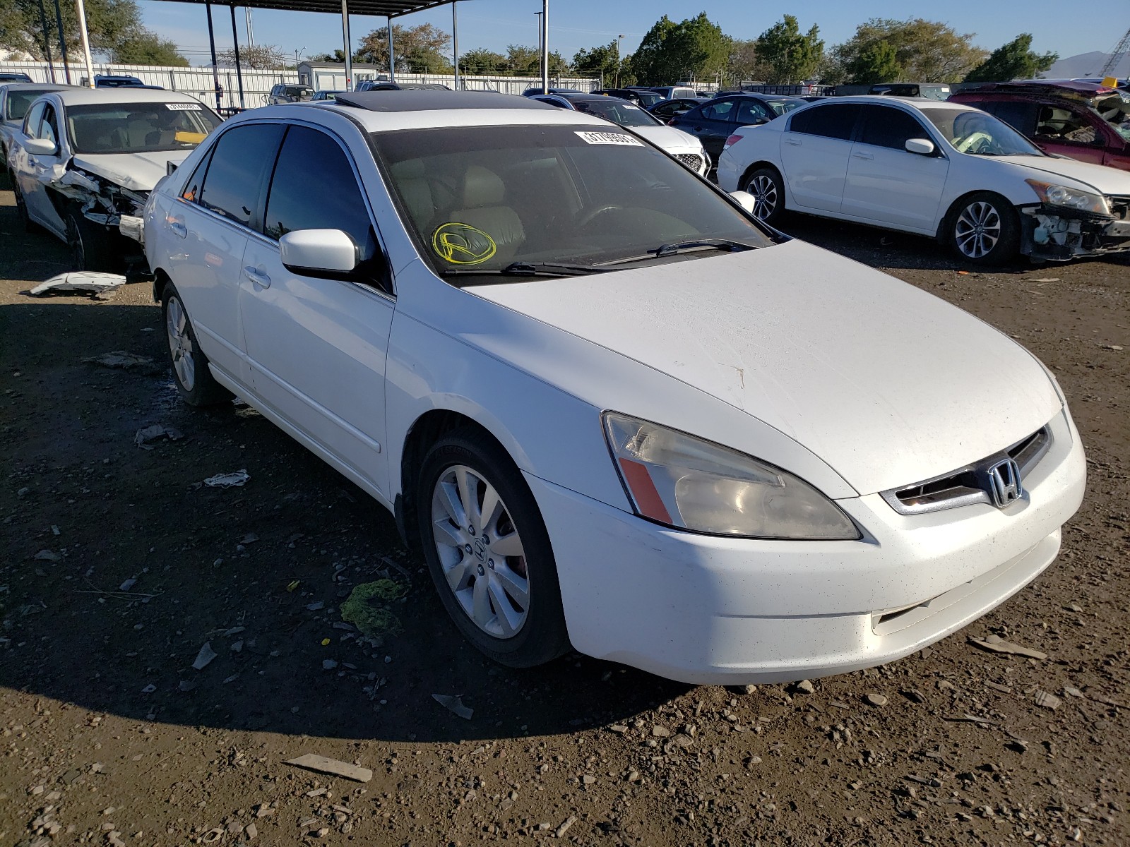 HONDA ACCORD EX 2004 1hgcm66524a018962