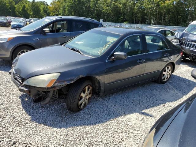 HONDA ACCORD EX 2005 1hgcm66525a017862