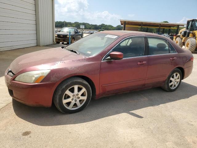 HONDA ACCORD EX 2005 1hgcm66525a067905