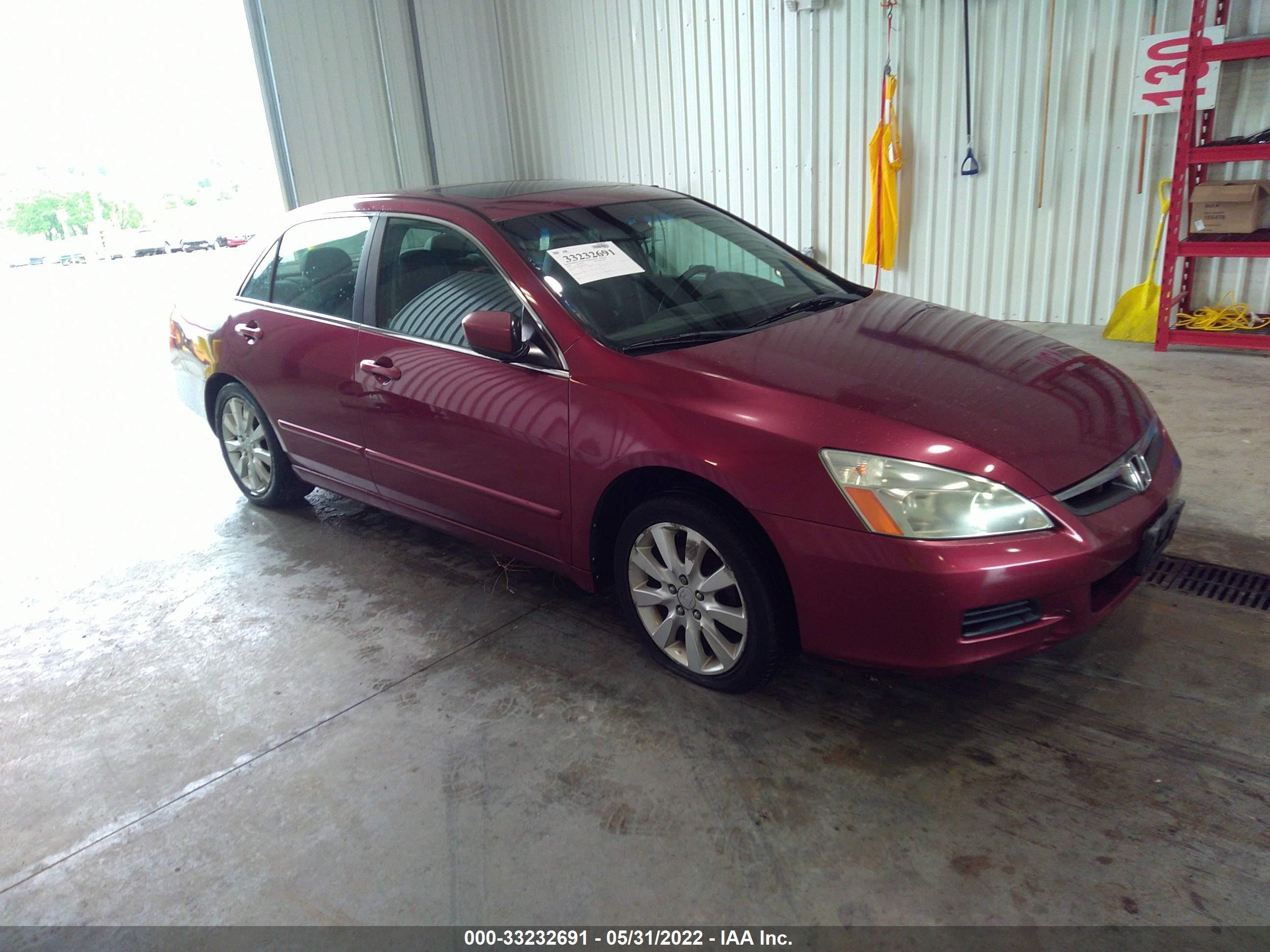 HONDA ACCORD 2006 1hgcm66526a024943