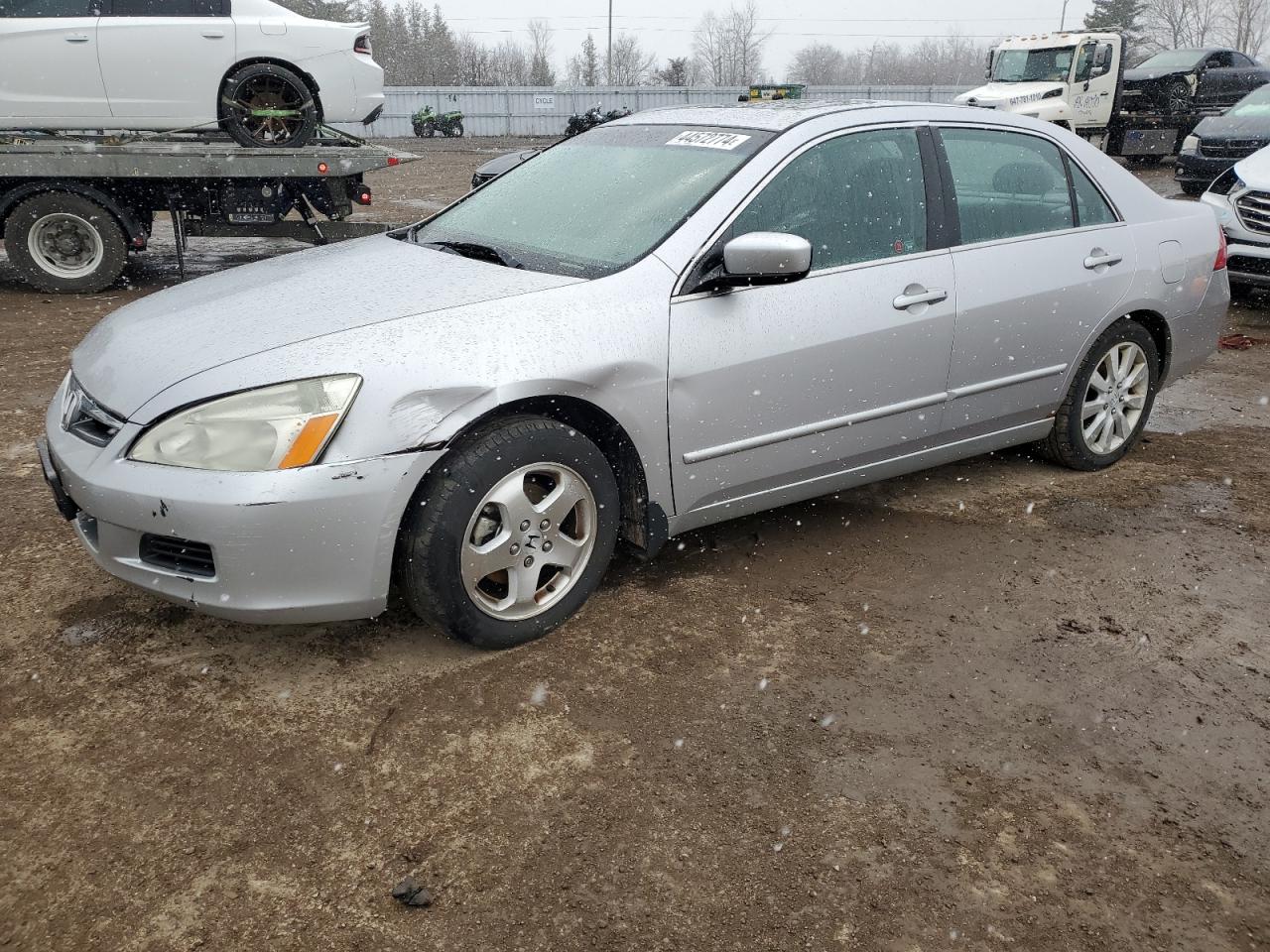 HONDA ACCORD 2006 1hgcm66526a803534