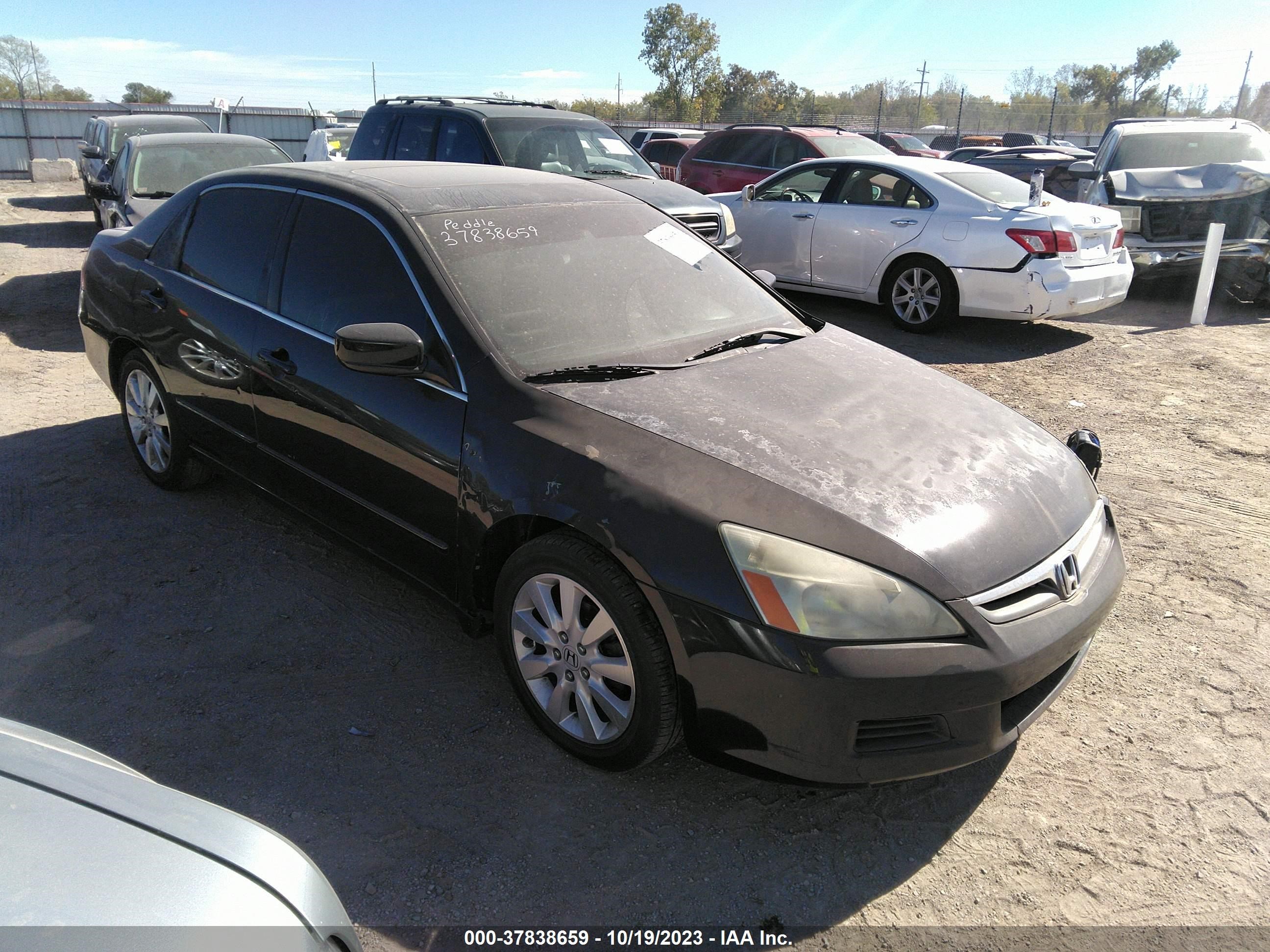 HONDA ACCORD 2007 1hgcm66527a038861