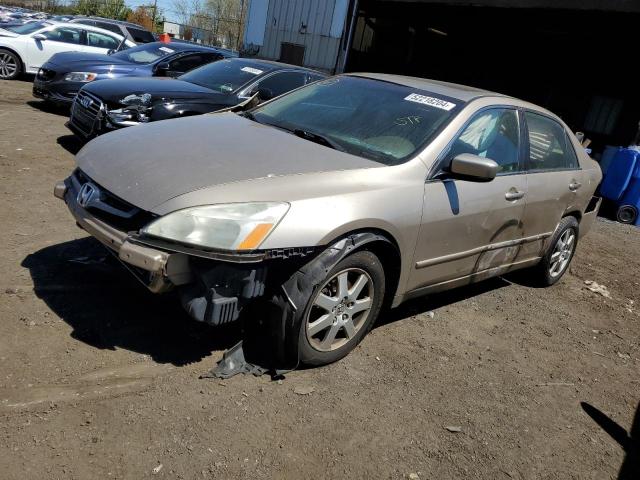 HONDA ACCORD 2005 1hgcm66535a019717