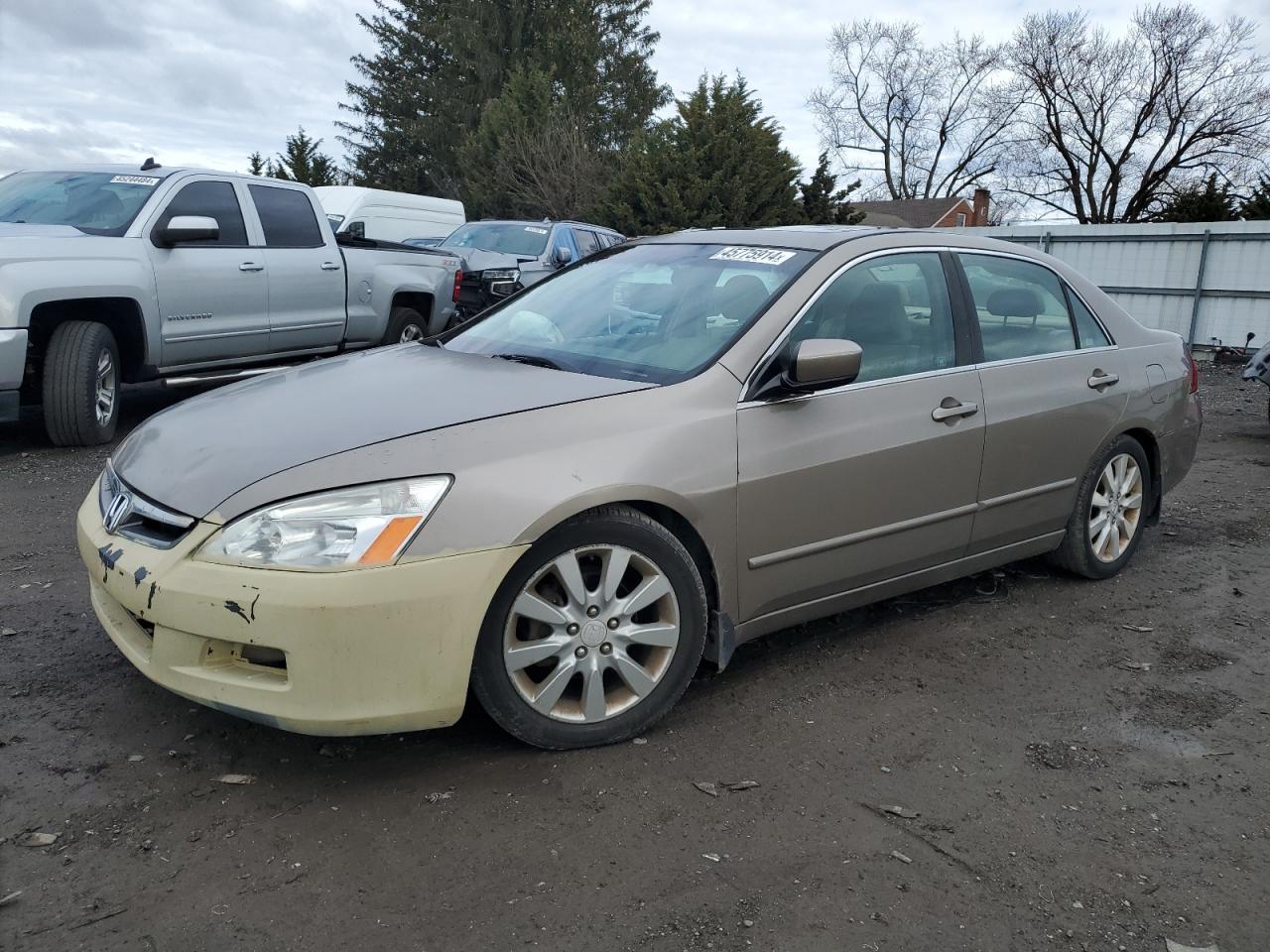 HONDA ACCORD 2006 1hgcm66536a039192