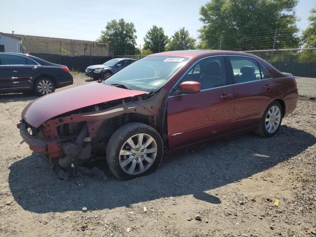 HONDA ACCORD EX 2006 1hgcm66536a058714