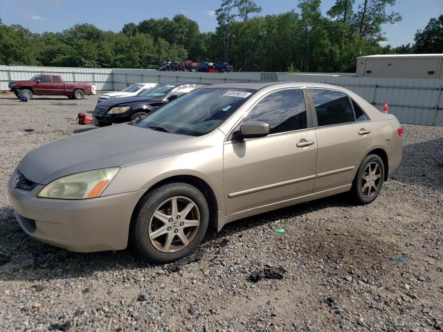 HONDA ACCORD EX 2003 1hgcm66543a069698