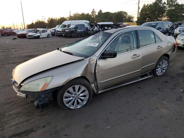 HONDA ACCORD EX 2004 1hgcm66544a051784