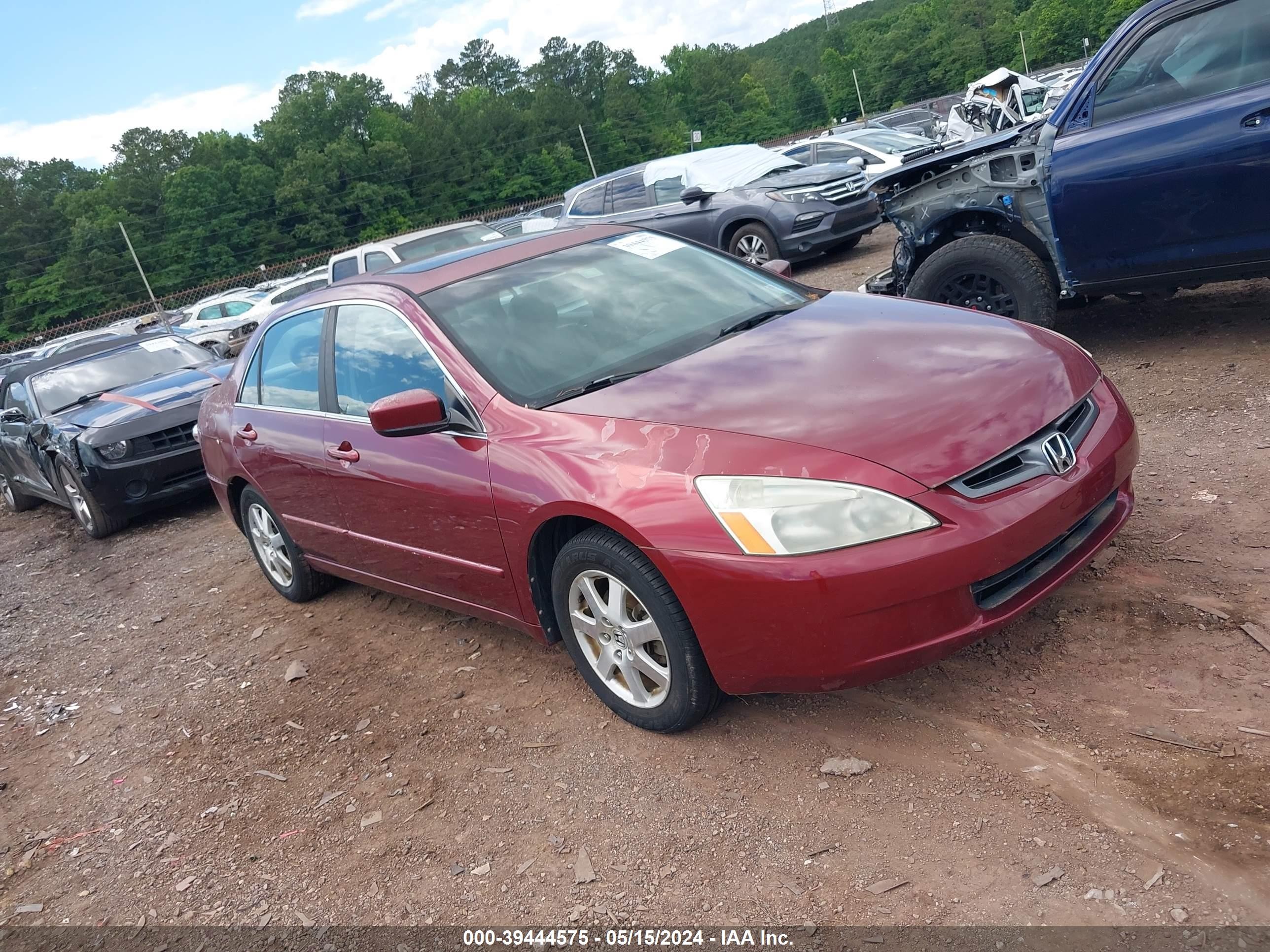 HONDA ACCORD 2005 1hgcm66545a046814