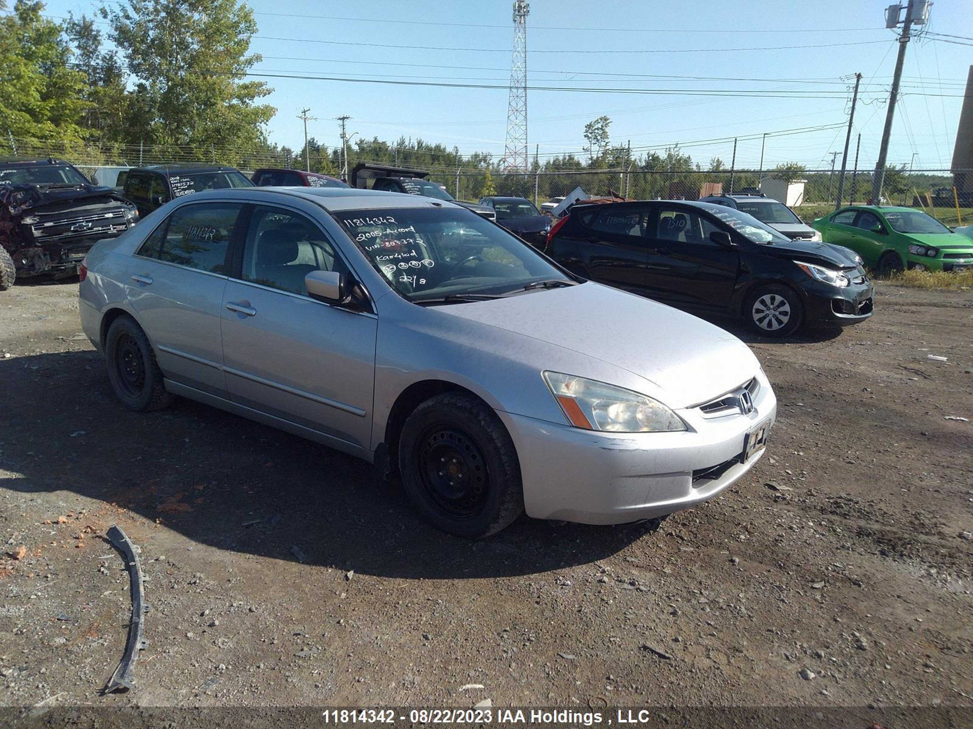 HONDA ACCORD 2005 1hgcm66545a803372