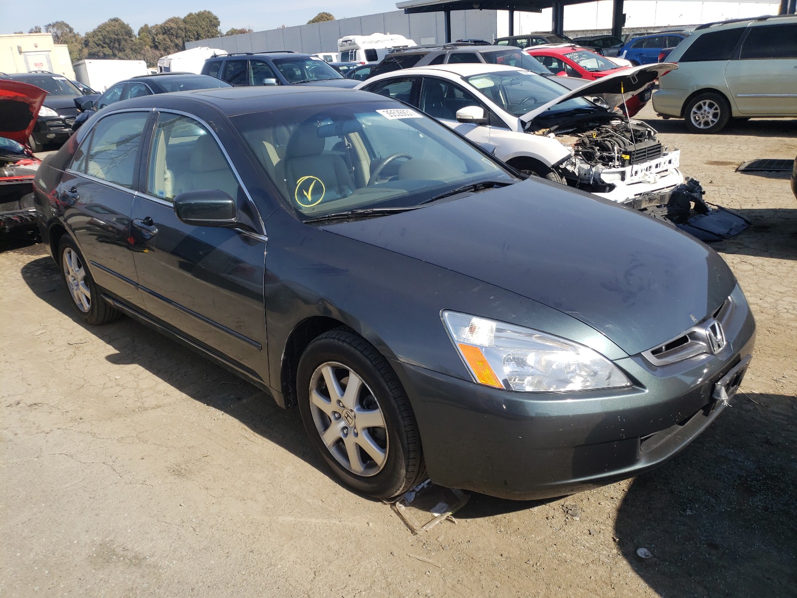 HONDA ACCORD EX 2005 1hgcm66555a034588