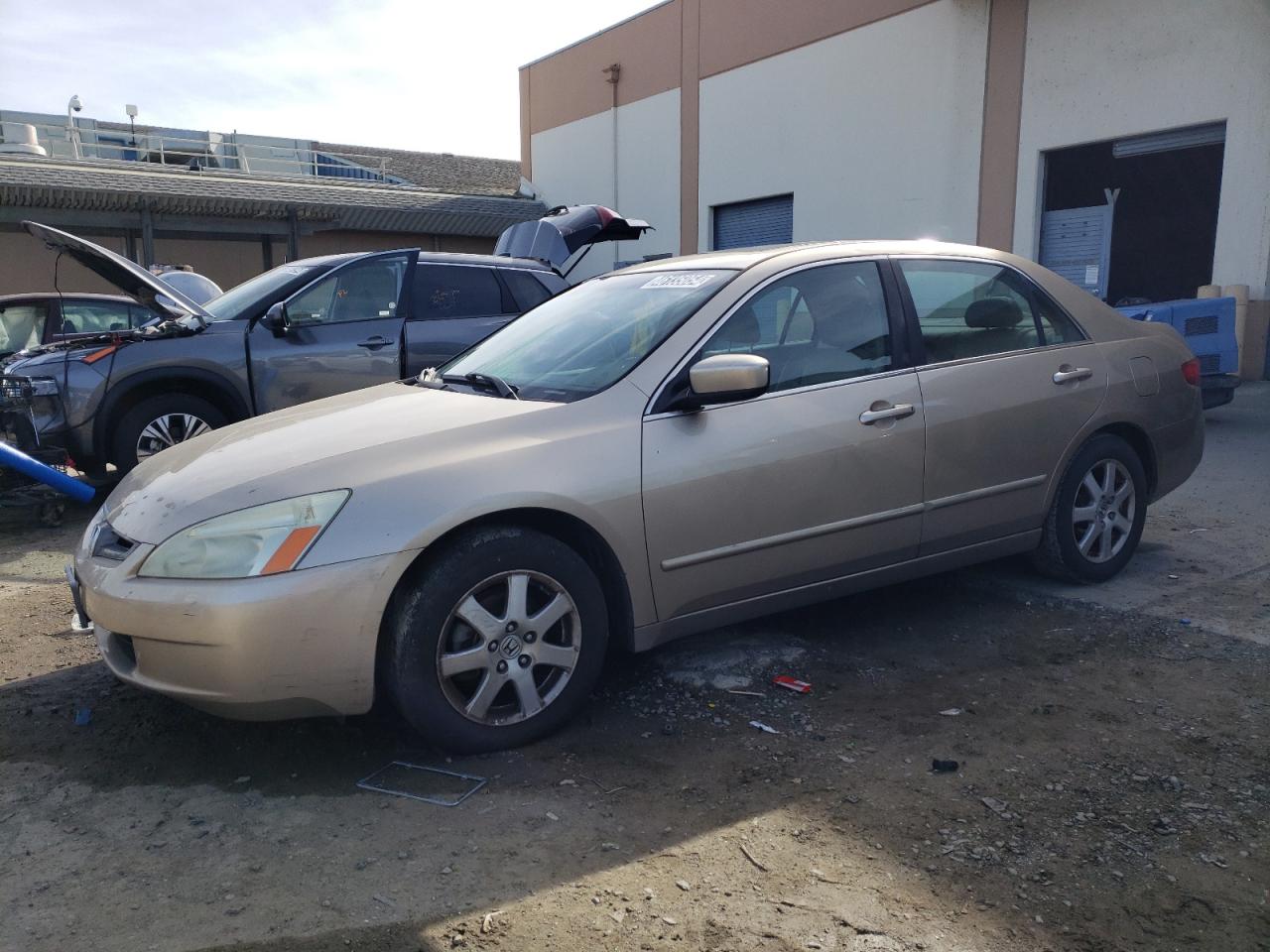 HONDA ACCORD 2005 1hgcm66555a038334