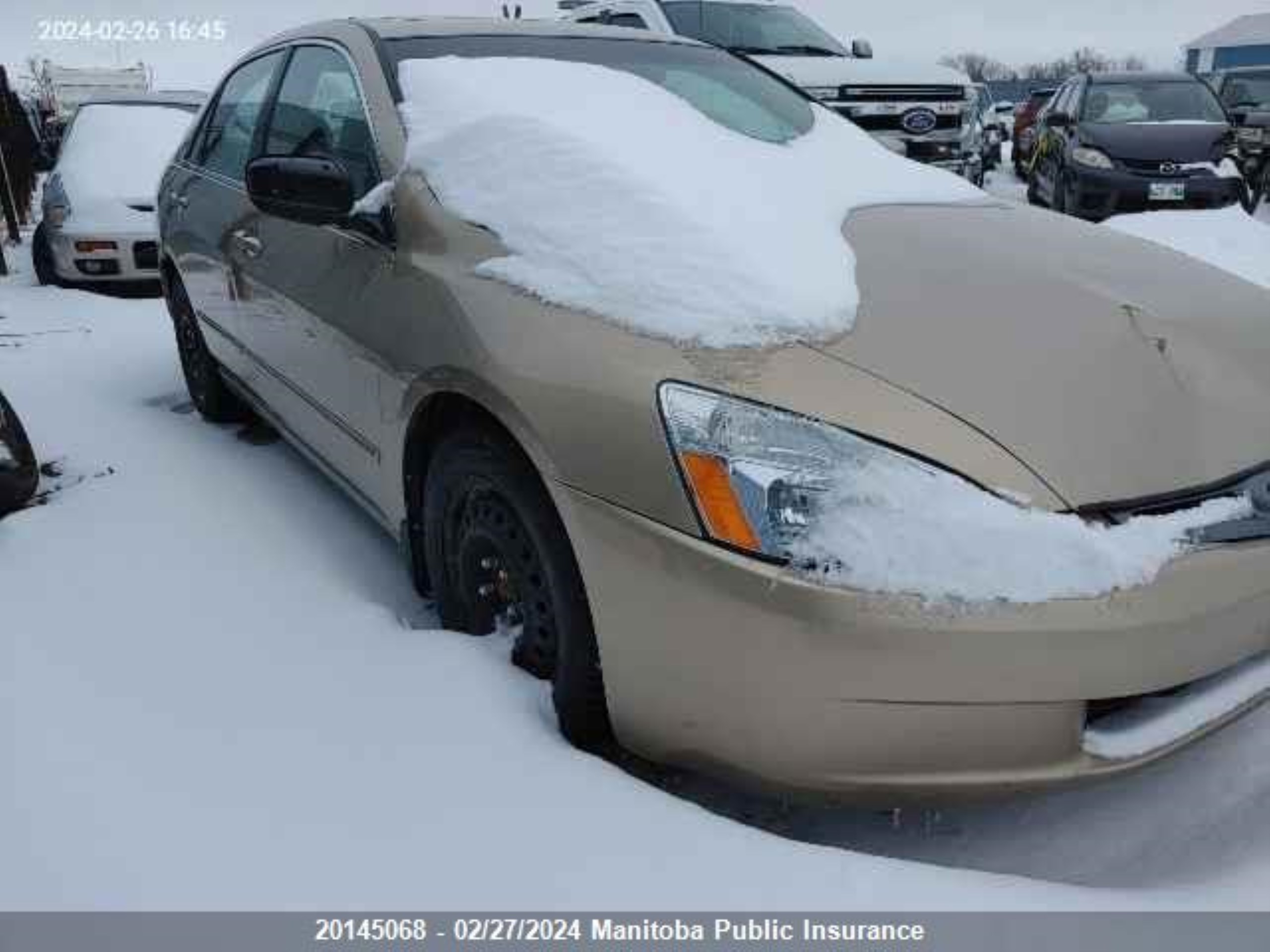 HONDA ALL 2005 1hgcm66555a802733