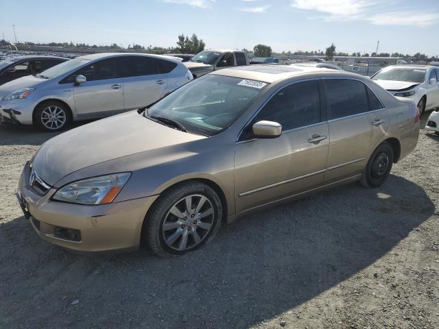 HONDA ACCORD EX 2006 1hgcm66556a007487