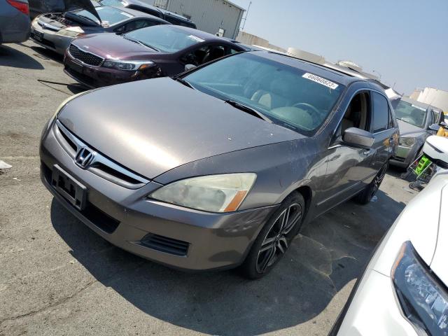 HONDA ACCORD EX 2006 1hgcm66556a031773