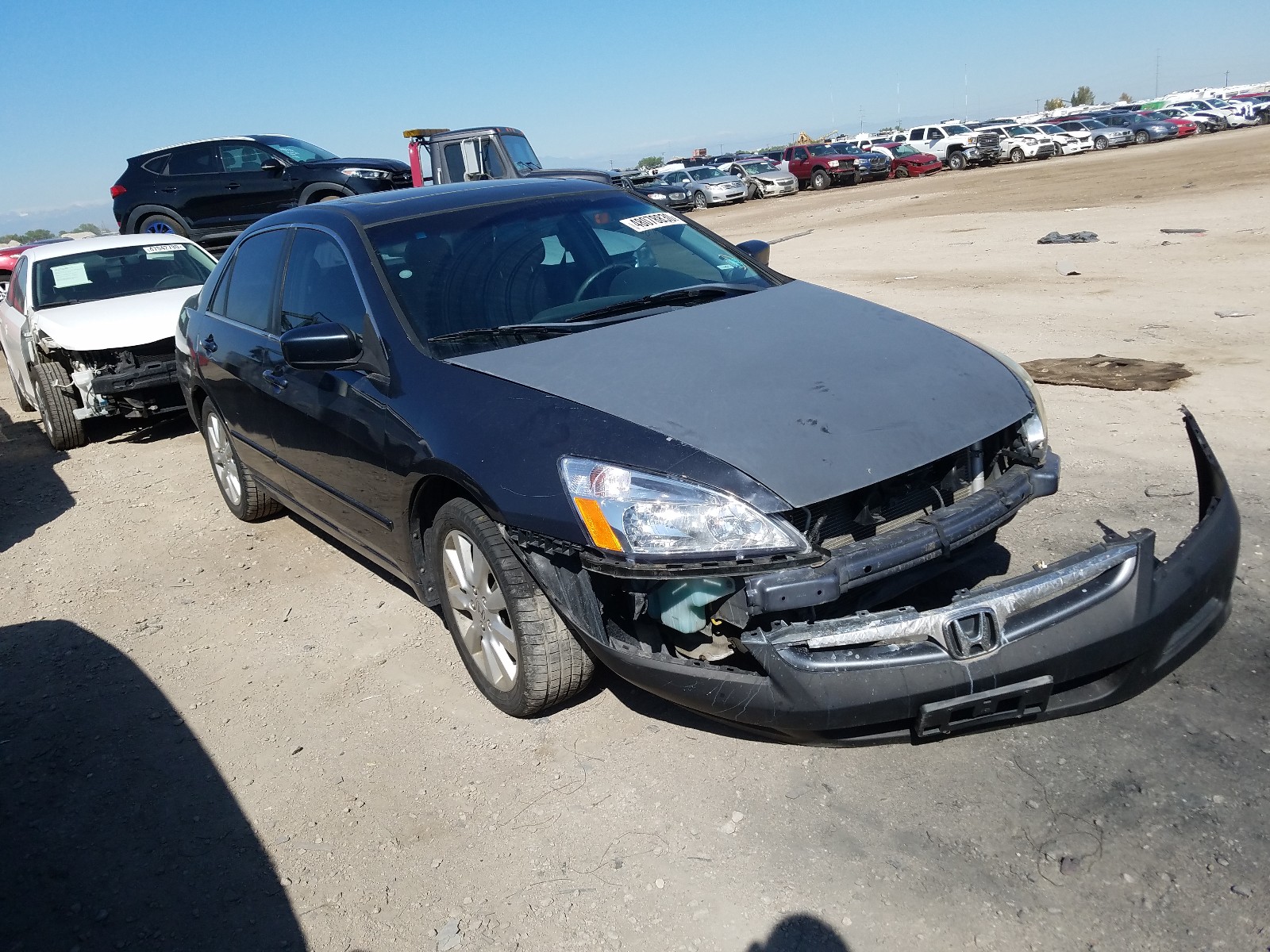 HONDA ACCORD EX 2007 1hgcm66557a006521