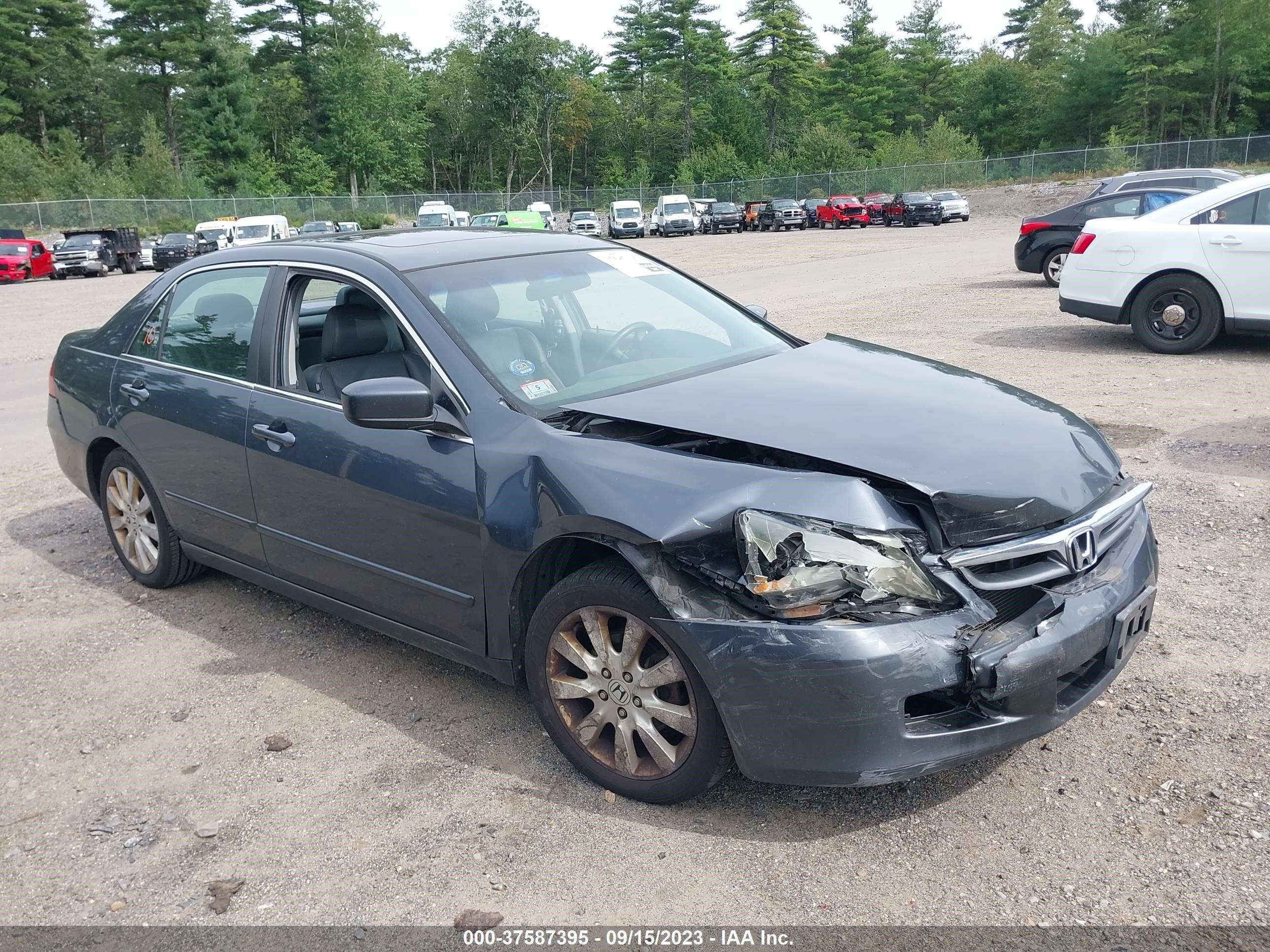 HONDA ACCORD 2007 1hgcm66557a013484