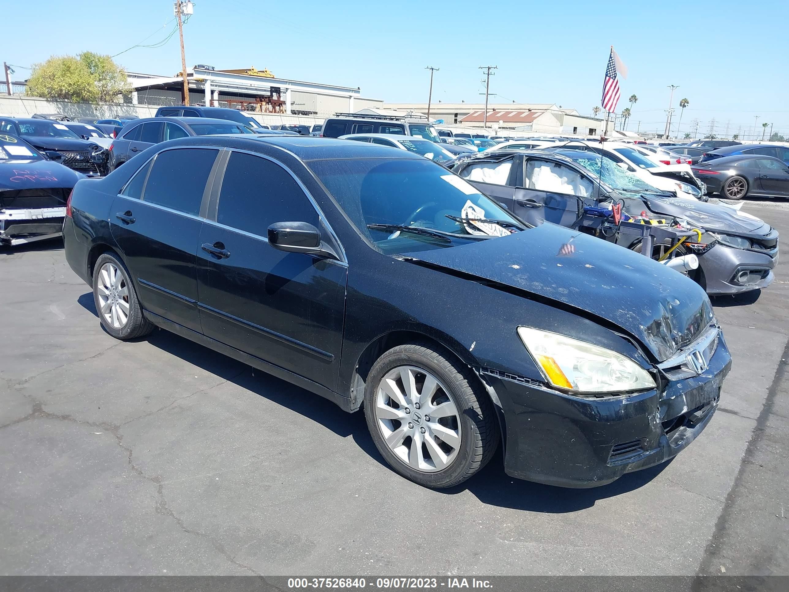 HONDA ACCORD 2007 1hgcm66557a076813